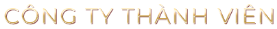 1Cong ty thanh vien